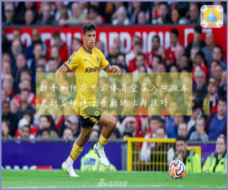 新手如何在开云体育登录入口版本更新后快速上手新玩法与技巧