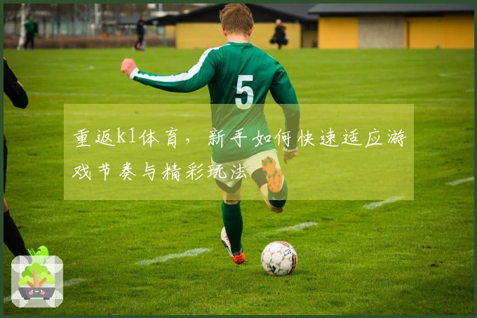重返k1体育，新手如何快速适应游戏节奏与精彩玩法